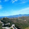 挥挥手72头像