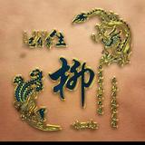 柳青9t0G头像