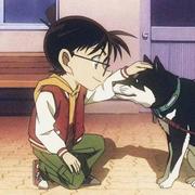 scut零一的个人资料头像