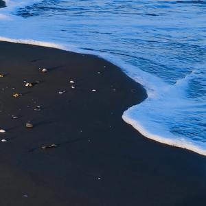 陈浩洋合集头像