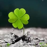 用户8356008813040头像