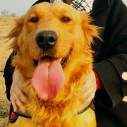 VVang_Yi_Yi的个人资料头像