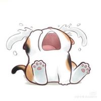 仙桃9618头像