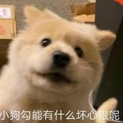 Clearlove885的个人资料头像