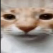 Dai_Shoo_G的个人资料头像