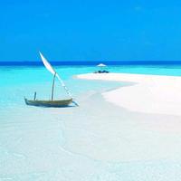 清爽风筝与风头像