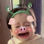 春秋半夏的个人资料头像