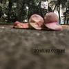 用户8474317397420头像