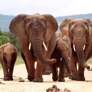 大维549的个人资料头像