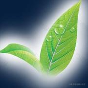 雨季1024的个人资料头像