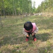 风云无忌733的个人资料头像