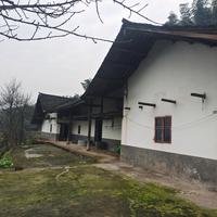 唐驳虎的唐头像