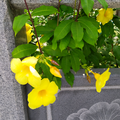用户7619131361535头像