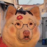 该问的不该问的都问头像