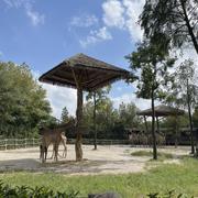 贱贱流氓兔的个人资料头像