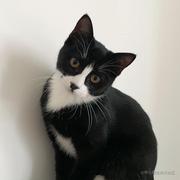 土豆和地瓜的个人资料头像