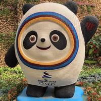 用户9477918904285头像