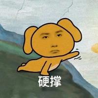 没糊的菠萝蜜头像