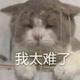 挣扎的小辣基 · 冒险家车主·车龄3年头像