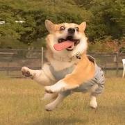 艾特我会春暖花开的个人资料头像