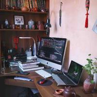 我只是一只小白菜头像