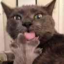 Samsara在掘金的个人资料头像