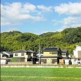顺其自然才最好571头像
