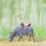 风景952的个人资料头像