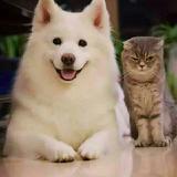 らじve風头像
