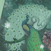 坐在草坪上放羊头像