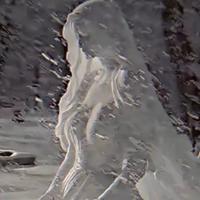 用户5476600995345头像