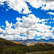 哈O_O哈哈的个人资料头像