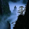 魔法师盖州8y头像