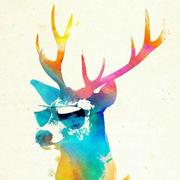 LiHang11620的个人资料头像