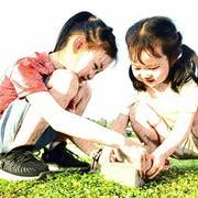 流年540的个人资料头像