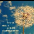 who51139头像