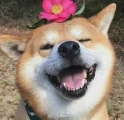 多看书的个人资料头像