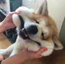 加绒的个人资料头像