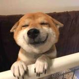 aJianMing头像