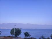 瓶子in的个人资料头像