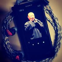 椒盐味皮皮虾头像