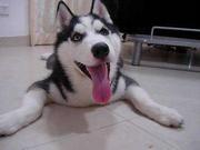 Patrick_V的个人资料头像