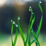 用户6631213114092头像