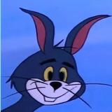 沉稳猫大爷头像