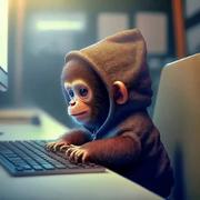 光华931的个人资料头像