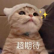 小威要向诸佬学习呀的个人资料头像