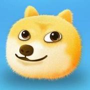 karryzeng的个人资料头像