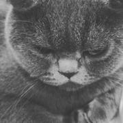 JY_C_M的个人资料头像