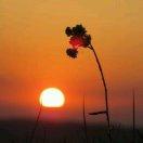 之子于归同学的个人资料头像