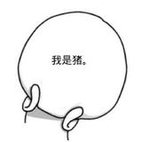 小楠早日退休头像